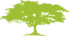 logo asd
