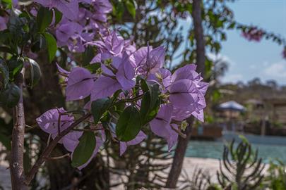 1piscina + área externa  (67).jpg