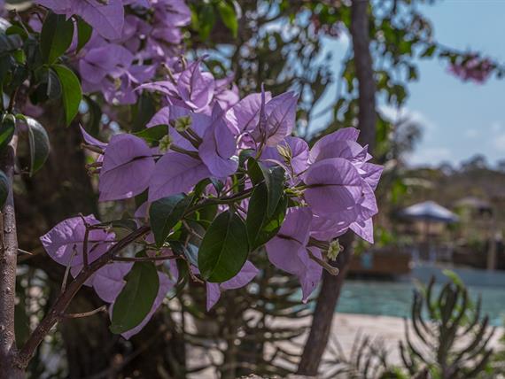 1piscina + área externa  (67).jpg