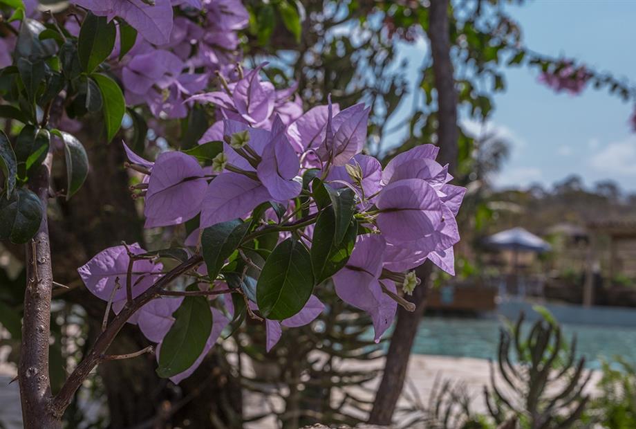 1piscina + área externa  (67).jpg