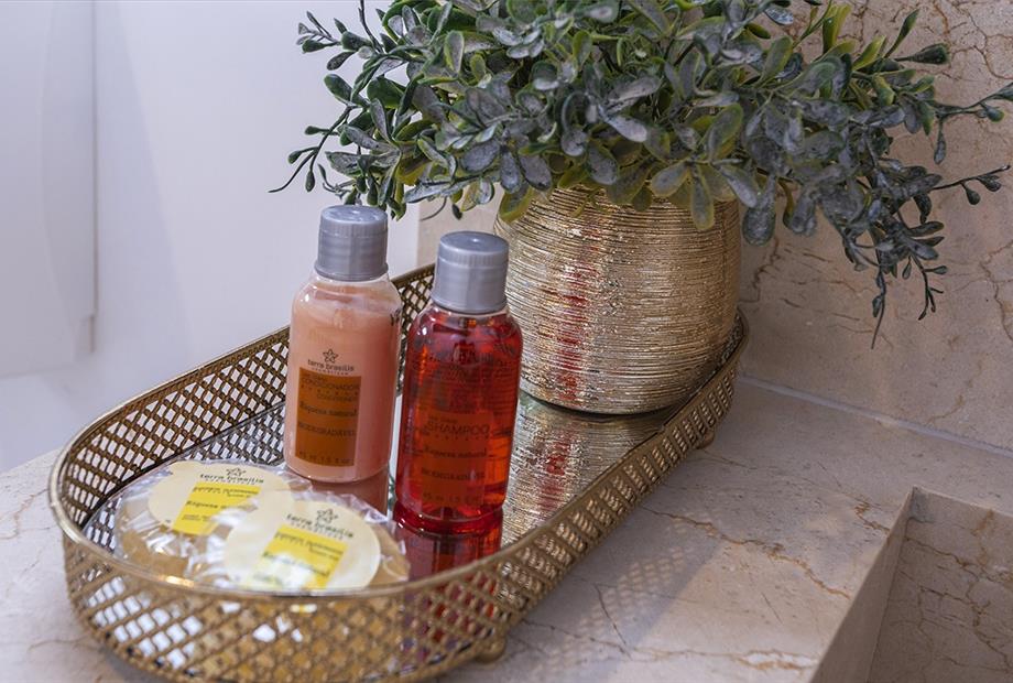 suite alamandra (14).jpg