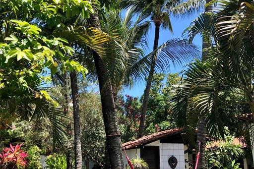 whatsapp image 2023-01-20 at 13.05.53 (5).jpeg