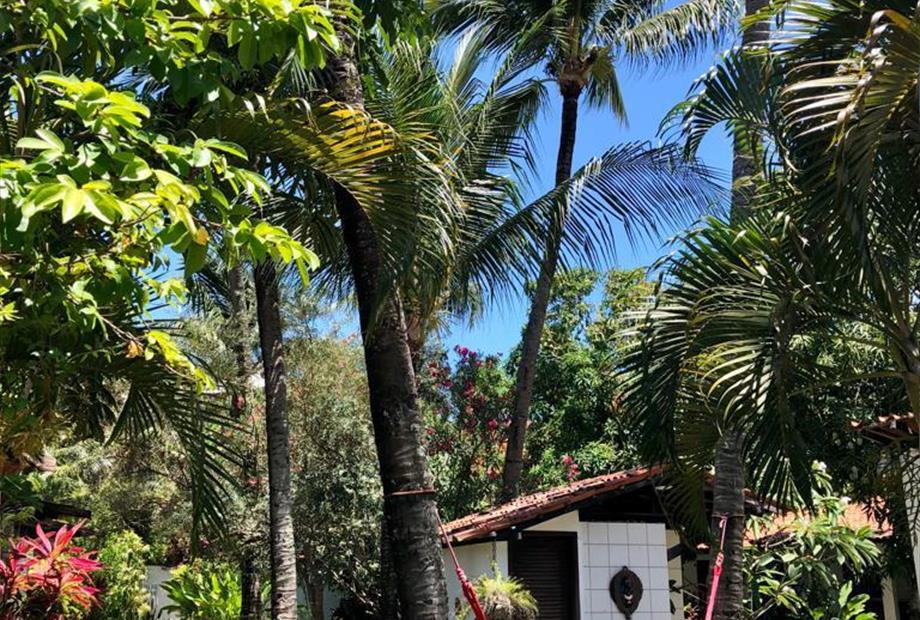 whatsapp image 2023-01-20 at 13.05.53 (5).jpeg