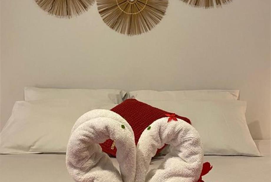 whatsapp image 2023-01-20 at 13.21.10 (3).jpeg