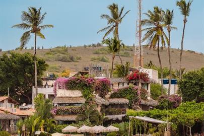 whatsapp image 2025-01-07 at 13.23.15 (1).jpeg