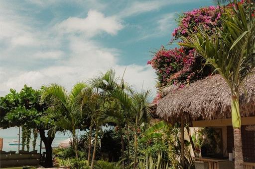 whatsapp image 2025-01-07 at 13.23.15 (3).jpeg