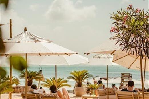 whatsapp image 2025-01-07 at 13.23.58.jpeg