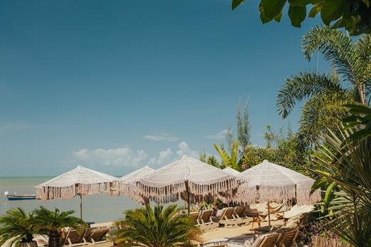 whatsapp image 2025-01-07 at 13.23.15 (4).jpeg