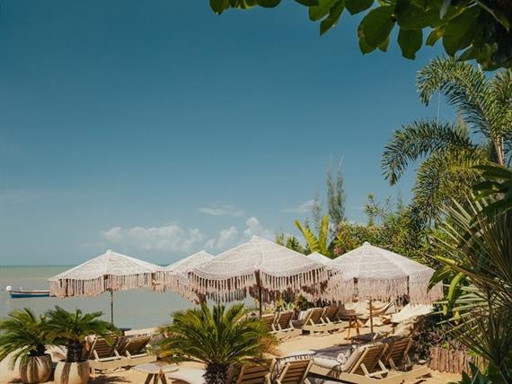 whatsapp image 2025-01-07 at 13.23.15 (4).jpeg