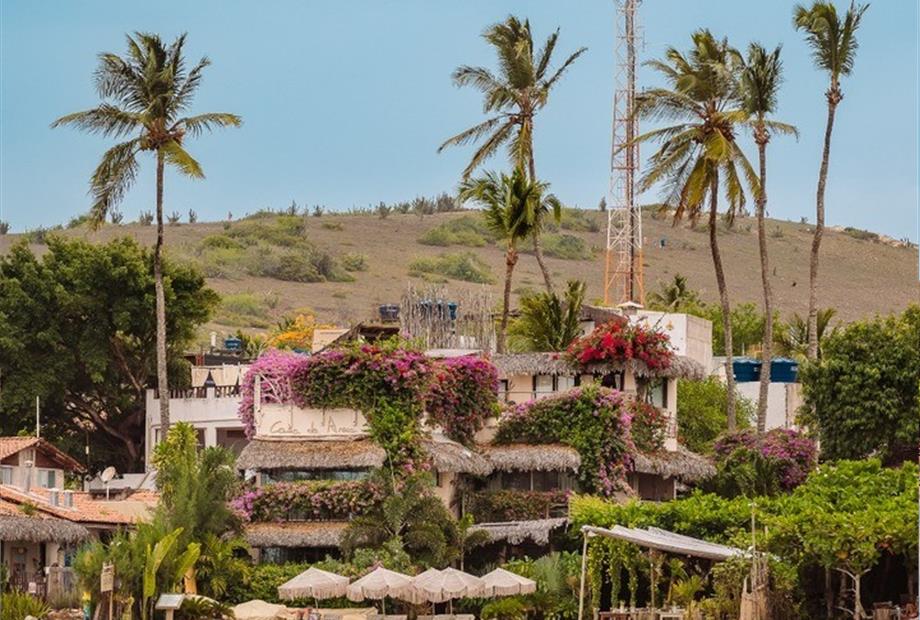 whatsapp image 2025-01-07 at 13.23.15 (1).jpeg