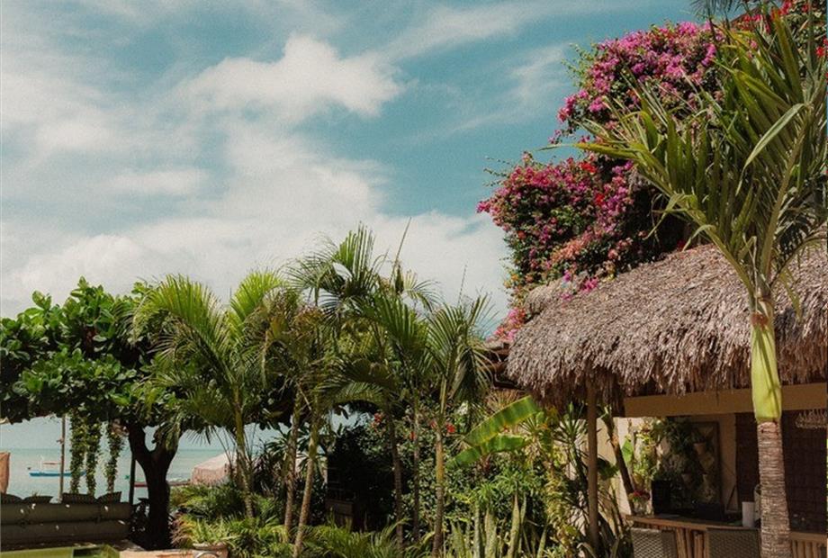 whatsapp image 2025-01-07 at 13.23.15 (3).jpeg