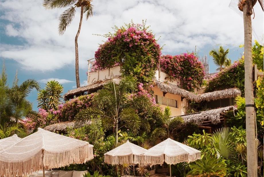 whatsapp image 2025-01-08 at 15.00.37.jpeg