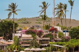 whatsapp image 2025-01-08 at 15.03.09.jpeg