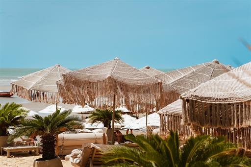 whatsapp image 2025-01-06 at 06.35.50 (3).jpeg