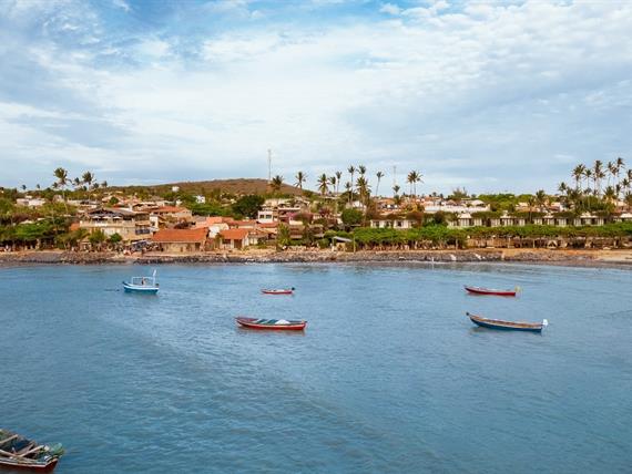 whatsapp image 2025-01-06 at 06.35.49 (1).jpeg