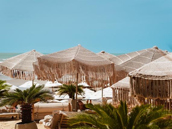 whatsapp image 2025-01-06 at 06.35.50 (3).jpeg