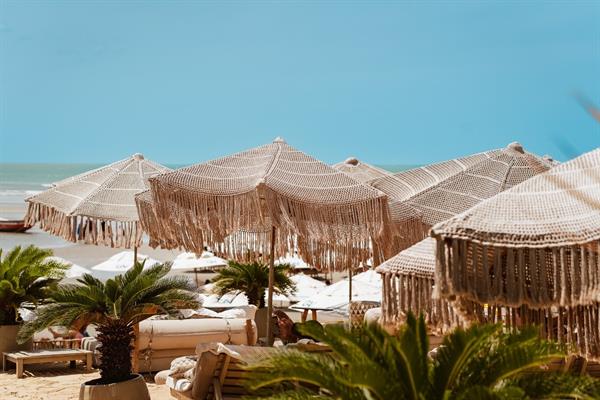 whatsapp image 2025-01-06 at 06.35.50 (3).jpeg