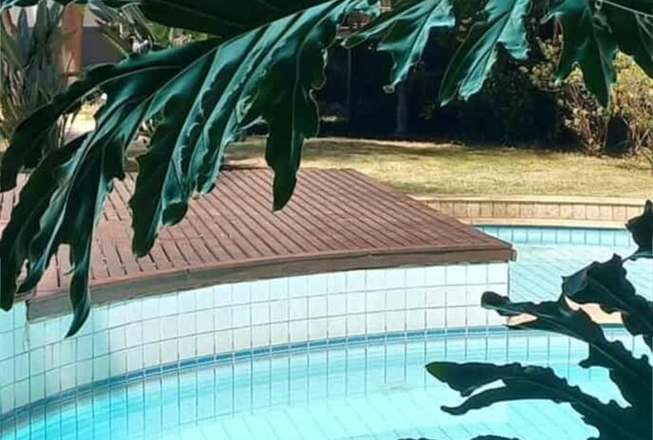 whatsapp image 2025-03-11 at 10.50.50.jpeg