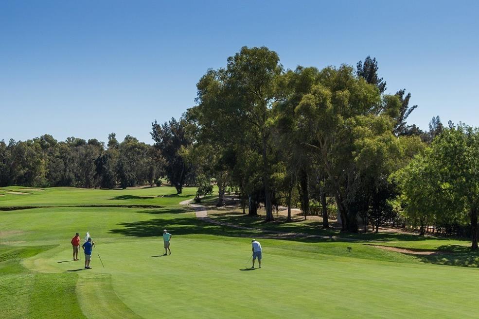 Penina-Golfers-18th-Green-03.jpg