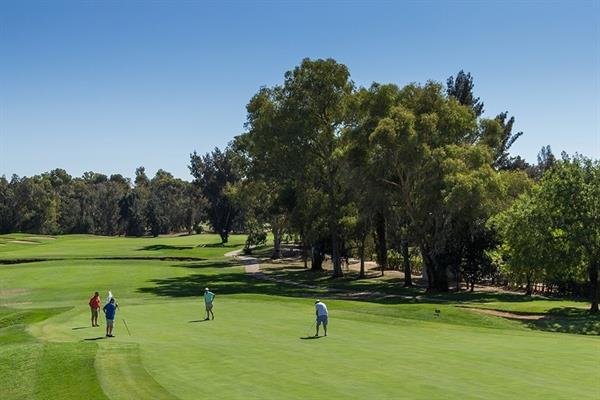 Photo 8 of Penina Hotel Golf Resort