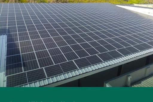 whatsapp image 2022-07-22 at 14.06.59.jpeg