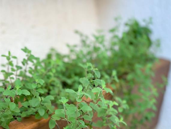 WhatsApp Image 2019-11-19 at 12.20.26 PM.jpeg