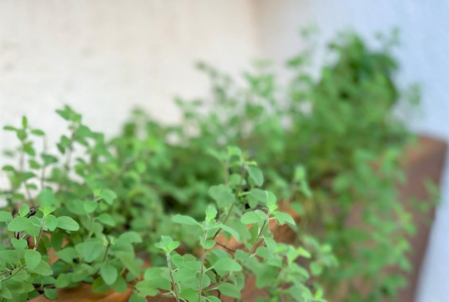 WhatsApp Image 2019-11-19 at 12.20.26 PM.jpeg