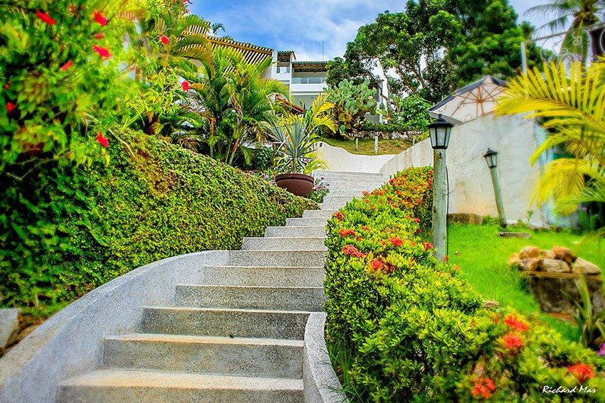Jardim.....jpg