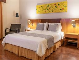 Dexter Hotel - Volta Redonda