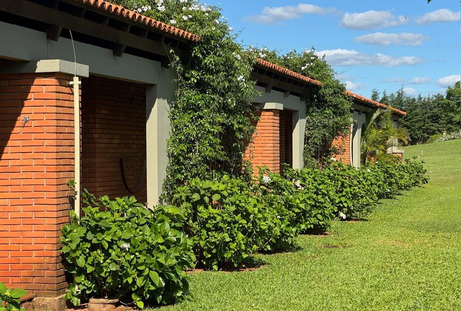 whatsapp image 2025-10-10 at 15.24.55.jpe.jpeg