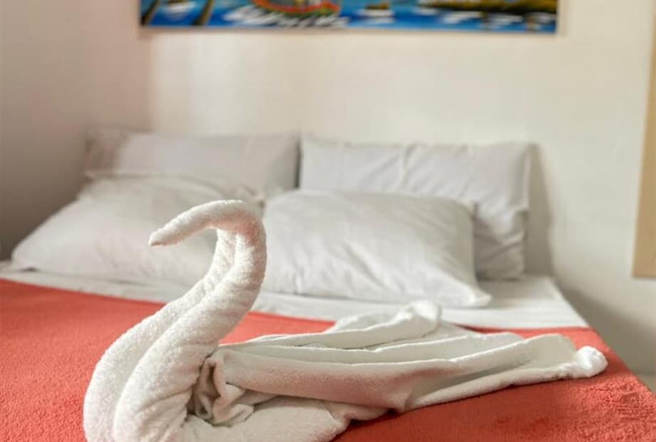 whatsapp image 2025-09-08 at 12.37.05.jpeg