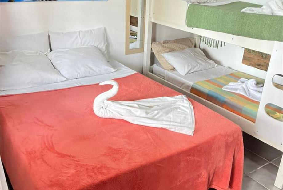 whatsapp image 2025-09-08 at 12.37.03 (2).jpeg