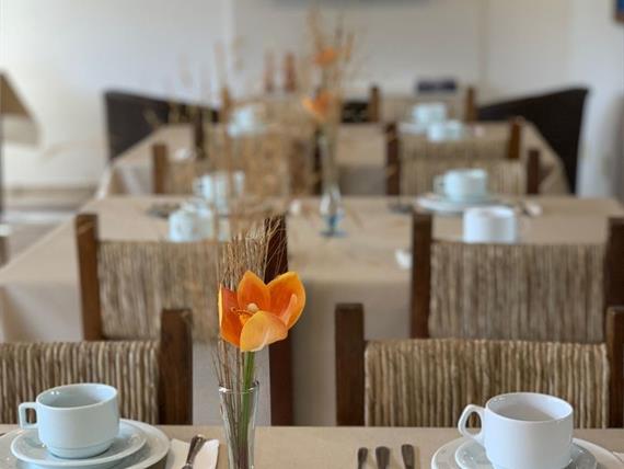 whatsapp image 2022-12-12 at 11.30.42.jpeg