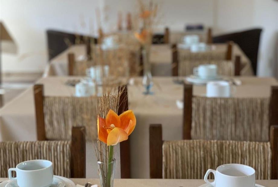 whatsapp image 2022-12-12 at 11.30.42.jpeg