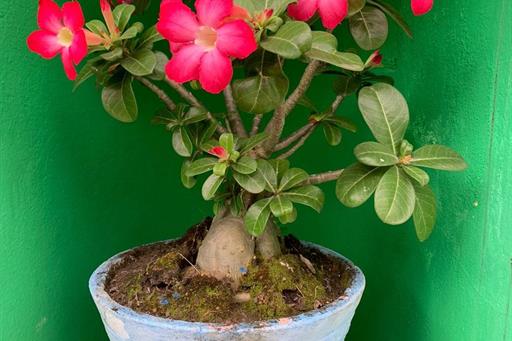 whatsapp image 2023-10-25 at 09.39.57 (1).jpeg