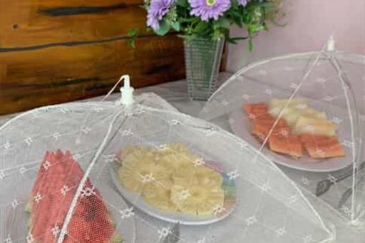 whatsapp image 2025-05-19 at 17.14.37.jpeg