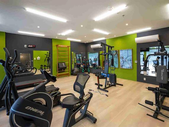 academia 1_13_11zon.jpg