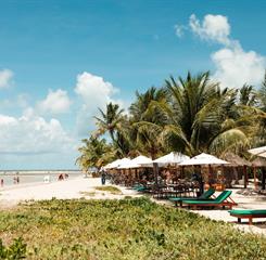 captura de tela 2025-10-28 163113.jpg