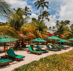 captura de tela 2025-10-28 162950.jpg