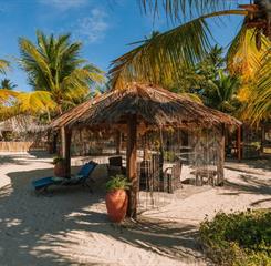 captura de tela 2025-10-28 162228.jpg