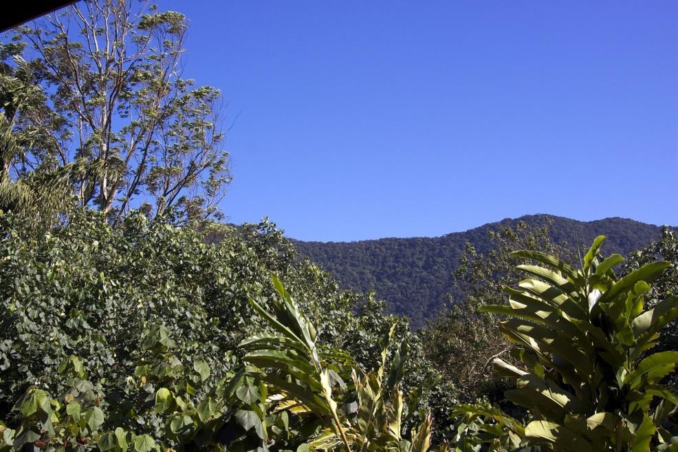 Vista2.jpg