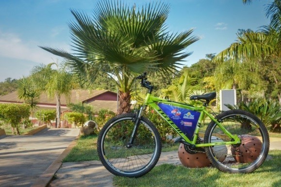 bike.jpg