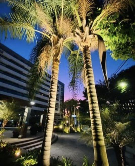 23) jardim01.jpg