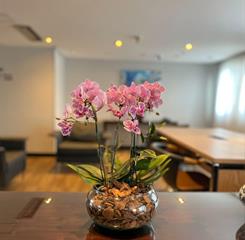 1) 8° andar vip - 1.jpg