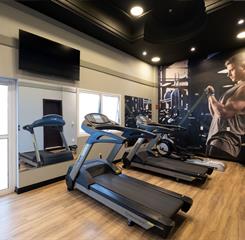 9) academia 4 omni.jpg