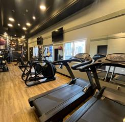 8) academia 3 omni.jpg