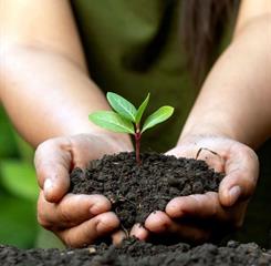 10) área verde 1 omni.jpg