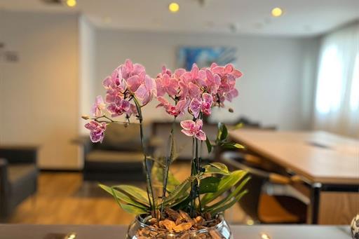 1) 8° andar vip - 1.jpg