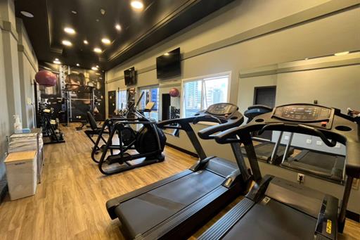 8) academia 3 omni.jpg