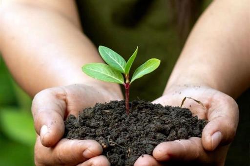 10) área verde 1 omni.jpg